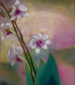 Orchidee - Gessetti su carta velluto   50x70